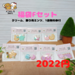 2022年パーツ福袋Fセット