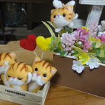 ＊nonnon 様　オーダー商品 天使のねこちゃん他　全２点＊