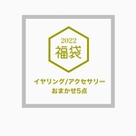 おまかせ福袋✨イヤリング/アクセサリー5点セット
