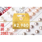 2022新年福袋　淡水パール　ピアス／イヤリング