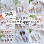 ✿ Happy bag 2022 ✿ ピアス イヤリング ✽ サージカルステンレス ニッケルフリー ノンホール 蝶バネ 樹脂 nonoacs 福袋 お正月