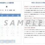 【Ｎ様専用】四柱推命による鑑定書