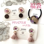 🎍新春福袋🎍1/1 21時販売スタート💓チタンピアス2点＋ぶどう色のお花咲くラウンドヘアゴムセット