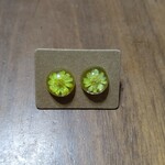 レジン 押し花ピアス(アレルギー方用)