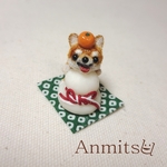 鏡もちわんこみかん🍊　柴犬　わんこ　犬　