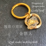 ✶金箔入✶無限の発展✶無限の発展のキーリング✶Fragment of dragon scales✶