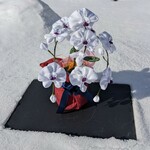 胡蝶蘭　縮緬つまみ細工鉢植え