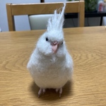 ※専用ページです※nomisuke925さまのオカメインコちゃん実物大です。羊毛フェルト