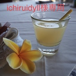 ichiruidyll様専用