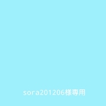 sora201206様リクエスト商品