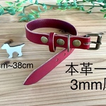 犬　首輪　本革　レッド　昭南皮革　本革一枚  しなやか  3mm厚