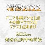 2022/新春アクセサリー福袋💄イヤリング変更可能