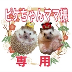 ピケちゃんママ様専用