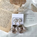 ///  新年 happy bag   ///   刺繍ear accessory×clearring