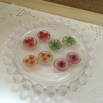 【限定残り1個】押し花ピアス 