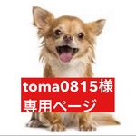 専用ページ