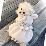 犬服　暖かボアーうさぎ耳のコートワンピース　犬ワンピース　犬の服