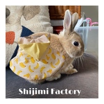 バナナ🍌　なりきりハーネス　うさぎ用