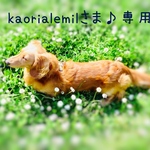 kaorialemilさま♪専用