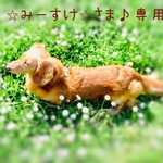 ⭐︎みーすけ⭐︎さま♪専用