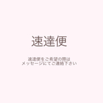速達便