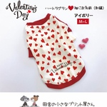 Valentine❤️アイボリーハート♥️ラグランオヨウフク
