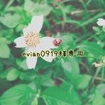 evian0919様専用ページ☆*:.｡. 