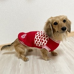 再販🐶犬服【切替ハート♥️柄タンク】