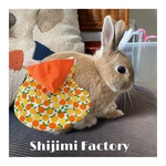 オレンジ🍊のなりきりハーネス　うさぎ用