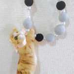 しがみつき猫☆茶トラ
