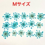 【15枚】レースフラワー の押し花（ブルー）
