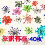 【40枚】※訳有※レースフラワーの押し花