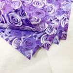 Violet Rose 10枚