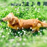 mlzuさま♪専用