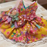 🌸 大和撫子七変化 （黄系）🌸