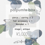 palpumte box 〚 5点set 〛