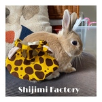 たまには、キリンになりたいうさぎさんへ贈るハーネス