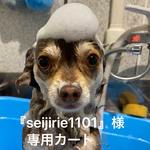 『seijirie1101』様専用カート