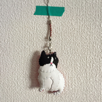 白黒猫