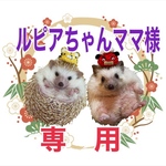 こちらはルピアちゃんママ様専用