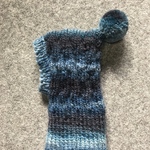 犬イタグレ★ S S帽子