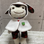 P1:かえるのピクルスうさ耳付きマント