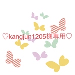 【kangjun1205様専用】ミナペルホネン ちょうちょとことりのブローチset 8