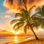☆sunny127様専用☆受注製作☆チューブトップ