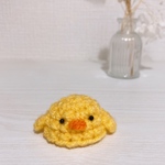ちょっと大きめのヒヨコ