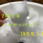 1/末まで販売　感謝を込めて☆2021年ハッピーバッグ　140センチ用