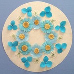 押し花セットF＜組み立てのお花＆ノースポール＆あじさい他＞