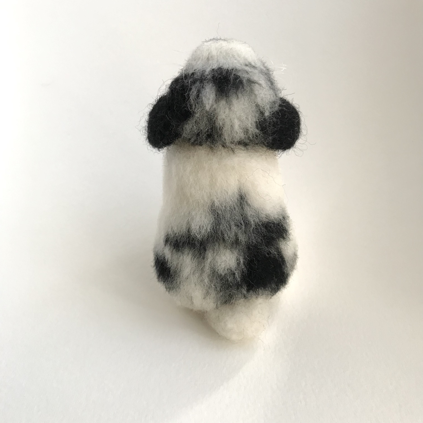 🐰うさぎ🐰 ロップイヤーラビット🐰💕 入荷いたしました✨ タレ