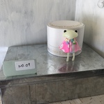 はなばたけーぷNo.09