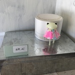 はなばたけーぷNo.21